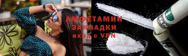 крисы Горняк