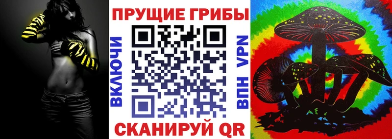 Псилоцибиновые грибы мицелий  что такое   Серов 
